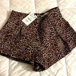 Zara Leopard Print Women Shorts - Brown and Black